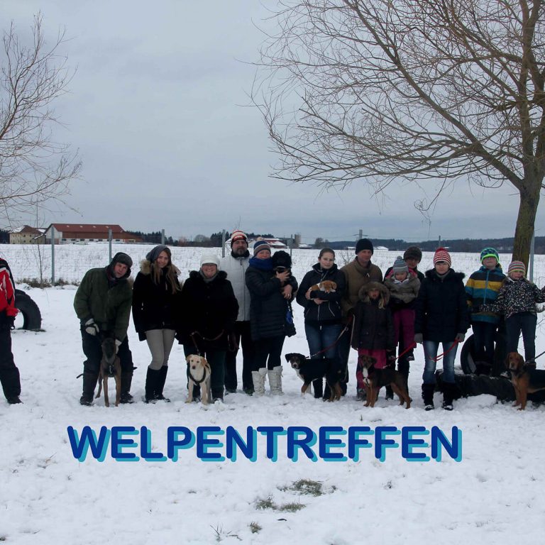 Welpentreffen